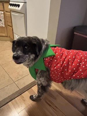 Guest review image 2 of 2, zoom in