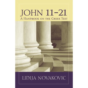 John 11-21 - (Baylor Handbook on the Greek New Testament) by  Lidija Novakovic (Paperback) - 1 of 1