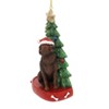 Kurt Adler 4.0 Inch Dog With Tree Ornament Gold Star Tree Ornaments - 3 of 3