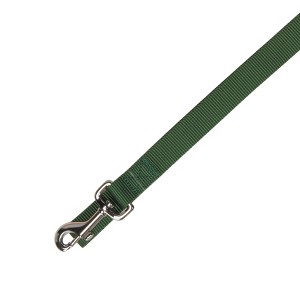 Casual Canine  Basic Nylon Dog Leash, 4-Feet x 5/8-Inch Lead, Green - 1 of 2