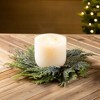 Sullivans Artificial Norfolk Island Cedar Christmas Accent Ring  Green  Indoor Christmas DÃƒÂ©cor - 3 of 3