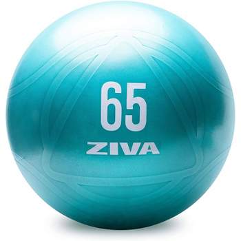 ZIVA Anti-Burst Core Exercise Ball