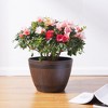 VECELO 9/11.3/13 in. Planters, Plastic Pot with Perforated Tray, Decorative Foliage Plants, Vintage Planters 3-Piece Set, Artificial Wood Planters - 3 of 4