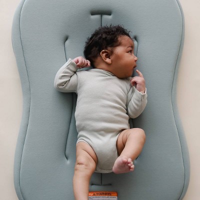 Snuggle Me Organic Curve Infant Lounger - Slate
