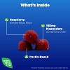 Natrol Mood + Stress Magnesium Citrate Gummies Raspberry, 60 Ct - 2 of 4