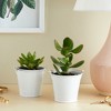 Juvale 6 Pack White Mini Galvanized Buckets with Handles for Party Favors, Decorations, Easter Centerpieces, 3.5 x 3 In - 2 of 4