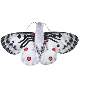 BUTTERFLY APOLLO - 1 of 1