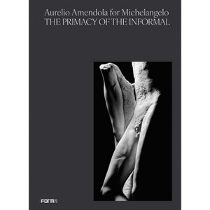 Aurelio Amendola for Michelangelo - by  Aurelio Amendola & Antonio Natali (Paperback) - 1 of 1