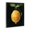 Stupell Industries Abstract Lemon on Vine Floating Frame Canvas Art, Black, 25" x 31" - 2 of 4