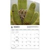 BrownTrout 2025 Wall Calendar 12"x14" Owls WWF - image 3 of 4