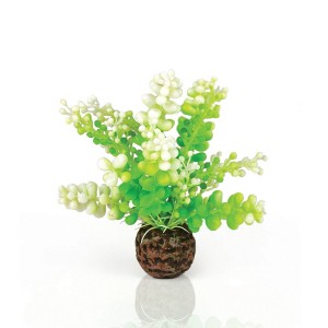 biOrb Aquatic Caulerpa Aquarium Artificial Plants - Green - 1 of 4