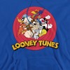 Looney Tunes Group Adult Pull-Over Hoodie - 2 of 4