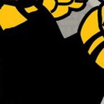 pittsburgh steelers