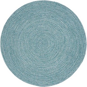 Braided BRA201 Hand Woven Rug - Safavieh - 1 of 3