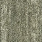 starke olive