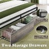 AMERLIFE LED Bed Frame with Drawers, 2-Tier Storage and Charging Station - 4 of 4