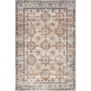 Nuloom Finley Pet Friendly Machine Washable Vintage Distressed Area Rug - 1 of 4