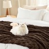 Bedsure | Cute Soft Cozy Checkered Throw Blanket for Couch - 3 of 4