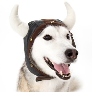 Dogo Pet Fashions Viking Helmet Dog Hat - Small - 1 of 4