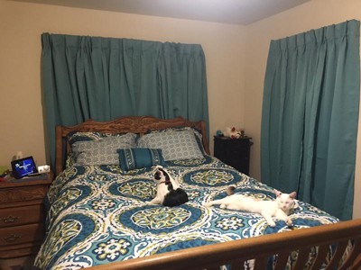 Guest review image 1 of 1, zoom in