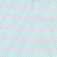 mint multi stripe