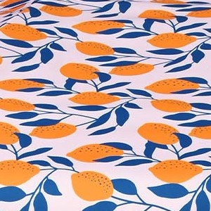 ob-orange lemon tree