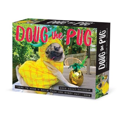 2022 Box Calendar Doug the Pug - Willow Creek Press