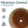 Sunnydaze Studio Outdoor/Indoor High-Fired Glazed UV- and Frost-Resistant Ceramic Planters with Drainage Holes - 4 of 4