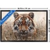 Trends International Reinders: Animals - Hunting Tiger In Grasses Framed Wall Poster Prints - 3 of 4