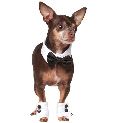 target dog bow tie