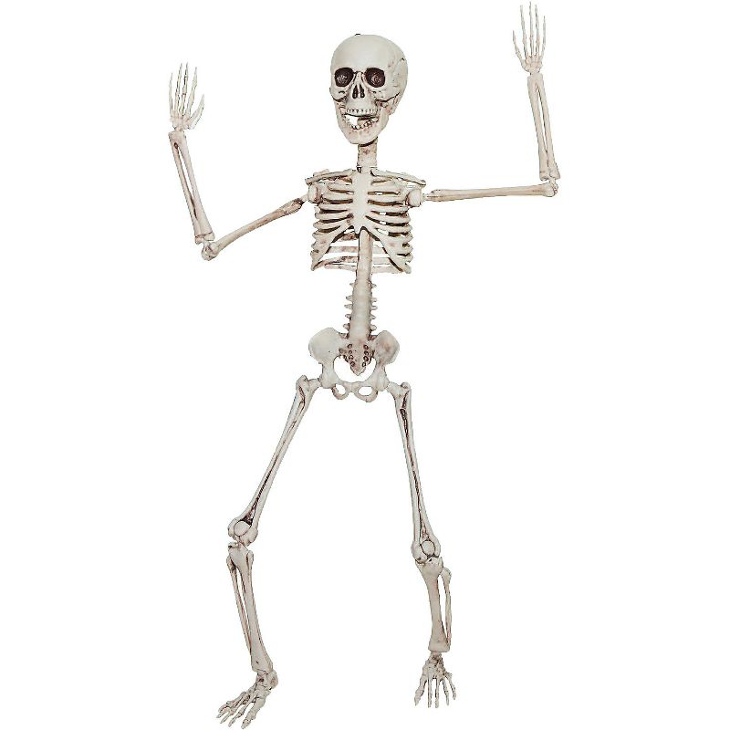 Halloween Express 19 in Halloween Poseable Skeleton, 1 of 3