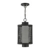 Livex Lighting Nottingham 1 - Light Pendant in  Textured Black - 3 of 4