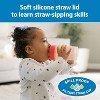 Dr. Brown's Milestones Straw to 360° Cup Set, with Interchangeable Silicone Straw - 2pk - 4 of 4