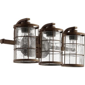 Quorum Lighting Ellis Glass 3-Light Oiled Bronze Wall Sconce - 1 of 1