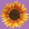 Girl's Design By Humans Sunflower By Maryedenoa T-Shirt - 2 of 3