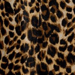 brown painterly cheetah