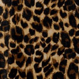 brown painterly cheetah