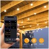 BlueAcorn Indoor/Outdoor Bluetooth LED Globe String Lights for patio, 50ft - 2 of 4