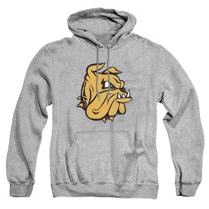 Men's University Of Minnesota Duluth Distressed Primary Pull-Over Hoodie - 1 of 4