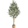 Garvee 7/8ft Faux Olive Tree, Tall Olive Tree Plants, Fake Potted Olive Silk Tree, Artificial Olive Trees for Modern Home Living Room Floor Decor - 2 of 4