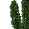 Northlight 6 FT Pre-Lit Artificial Pine Cactus Christmas Tree, Warm Clear LED Lights - 3 of 4