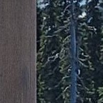 rustic pine brown