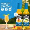 Syruvia Sugar Free Coffee Flavors Variety Pack: Mango & Pineapple 25.4 fl oz Syrup - 2 of 4