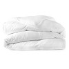 10 foot by 10 foot World's Largest King Comforter by DOWNLITE (Hypoallergenic Down Alternative) - 2 of 4