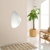 Chloe Lighting Lyzeth Large Frameless Wall Mirror 24x39 - 4 of 4