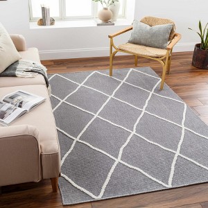 Hauteloom Amani Gray Washable Rug - 1 of 4