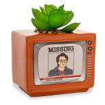Silver Buffalo Stranger Things Missing Barb 3.75-Inch Ceramic Mini Planter With Artificial Succulent