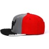 Mitchell & Ness NBA Chicago Bulls Day 5 Snapback Adjustable Cap - 2 of 3