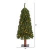 Nearly Natural 3' Pre-Lit Grand Alpine Artificial Christmas Tree Clear Lights: Indoor Seasonal Decor - 2 of 4