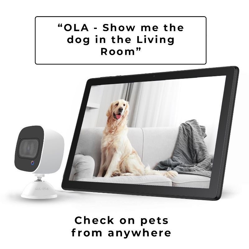 Ask OLA! 2 Way Voice Command Smart Security Camera 5 Pack, 5 of 9